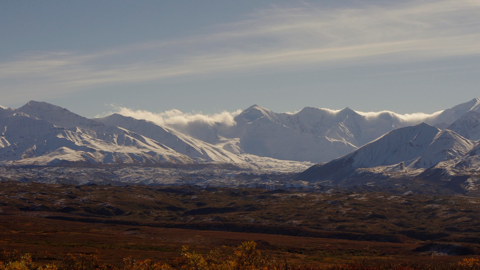 Snowy mountains with a large glacier flowing away. Vegetation grows on the lower glacier.