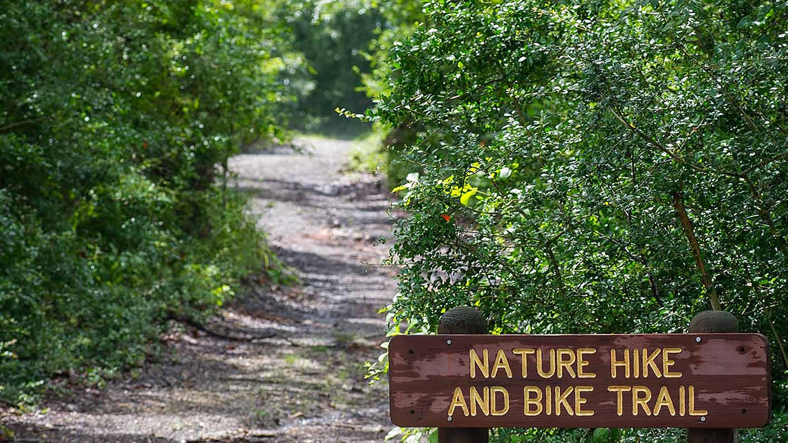 A trail sign in front of a trail through a vegetated forest.