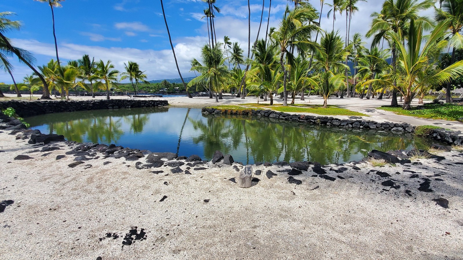 A circular pond with lined with black lava rock walls. Still water reflects coconut trees above.