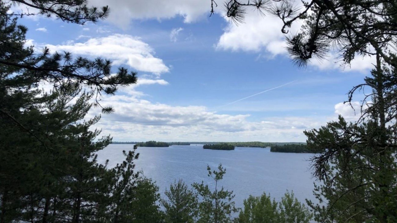View overlooking Kabetogama Lake through pine trees and a few islands in the lake.