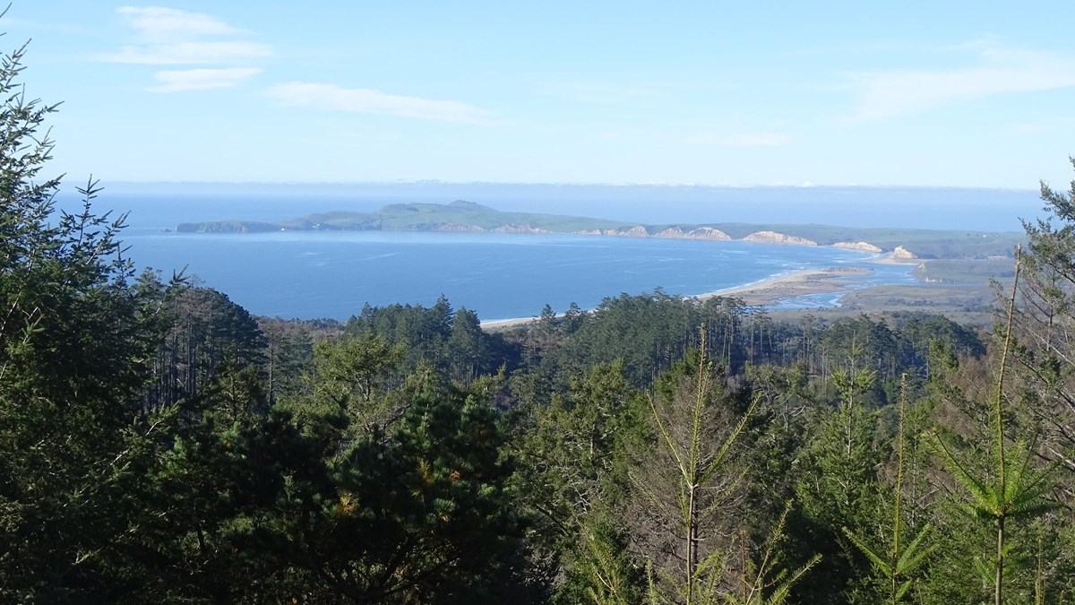 Hike to Mount Wittenberg from the Sky Trailhead (U.S. National Park