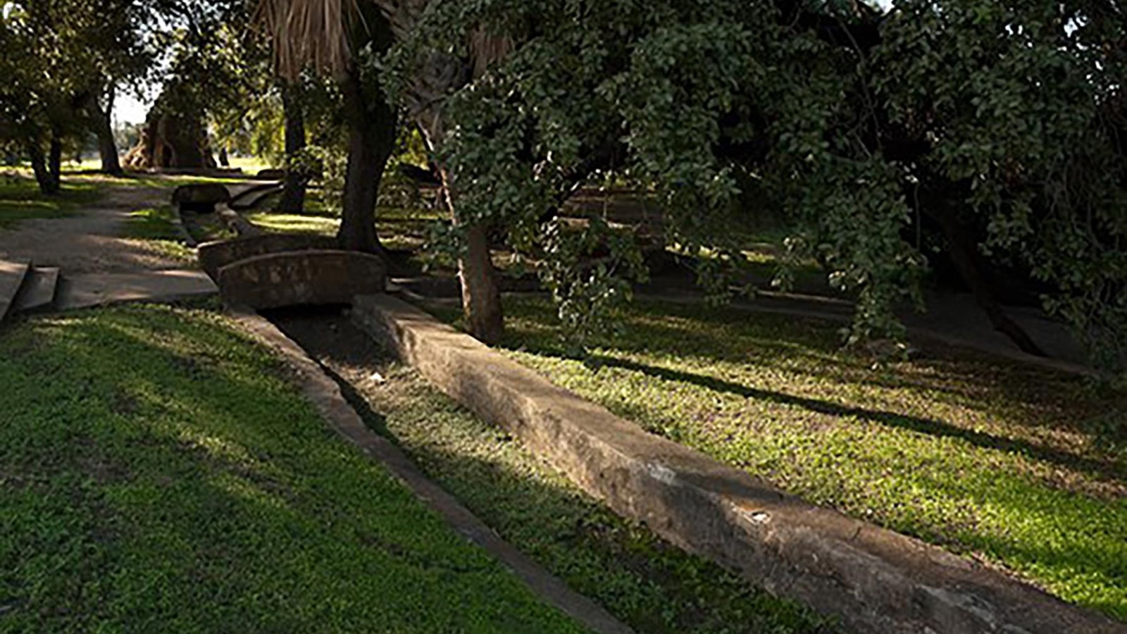 An aqueduct  in a grassy area with shrubs and palm trees.