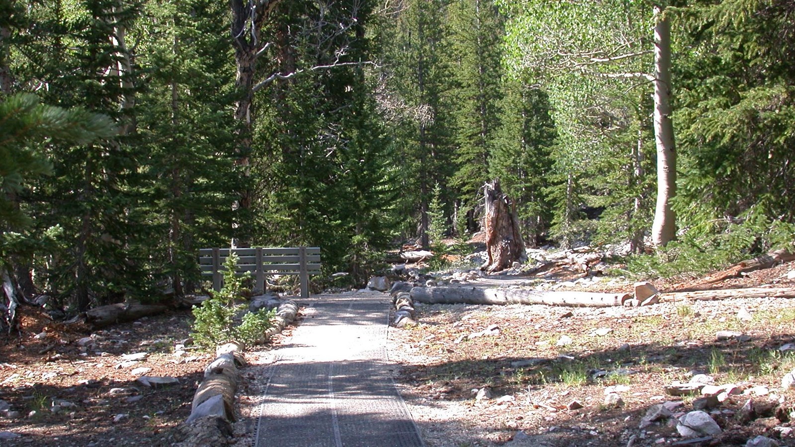 ADA accessible trailhead if the Sky Island Forest trail with bench visible.