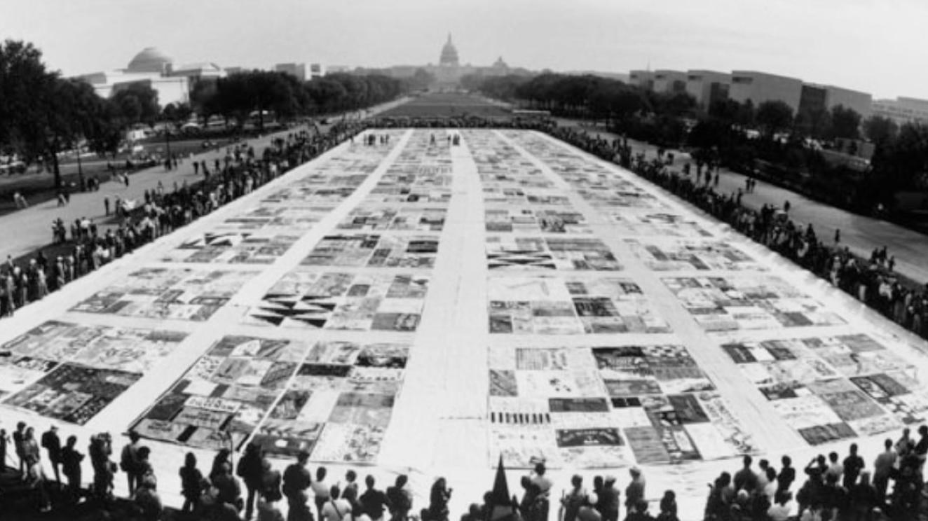 Panels laid on the national mall