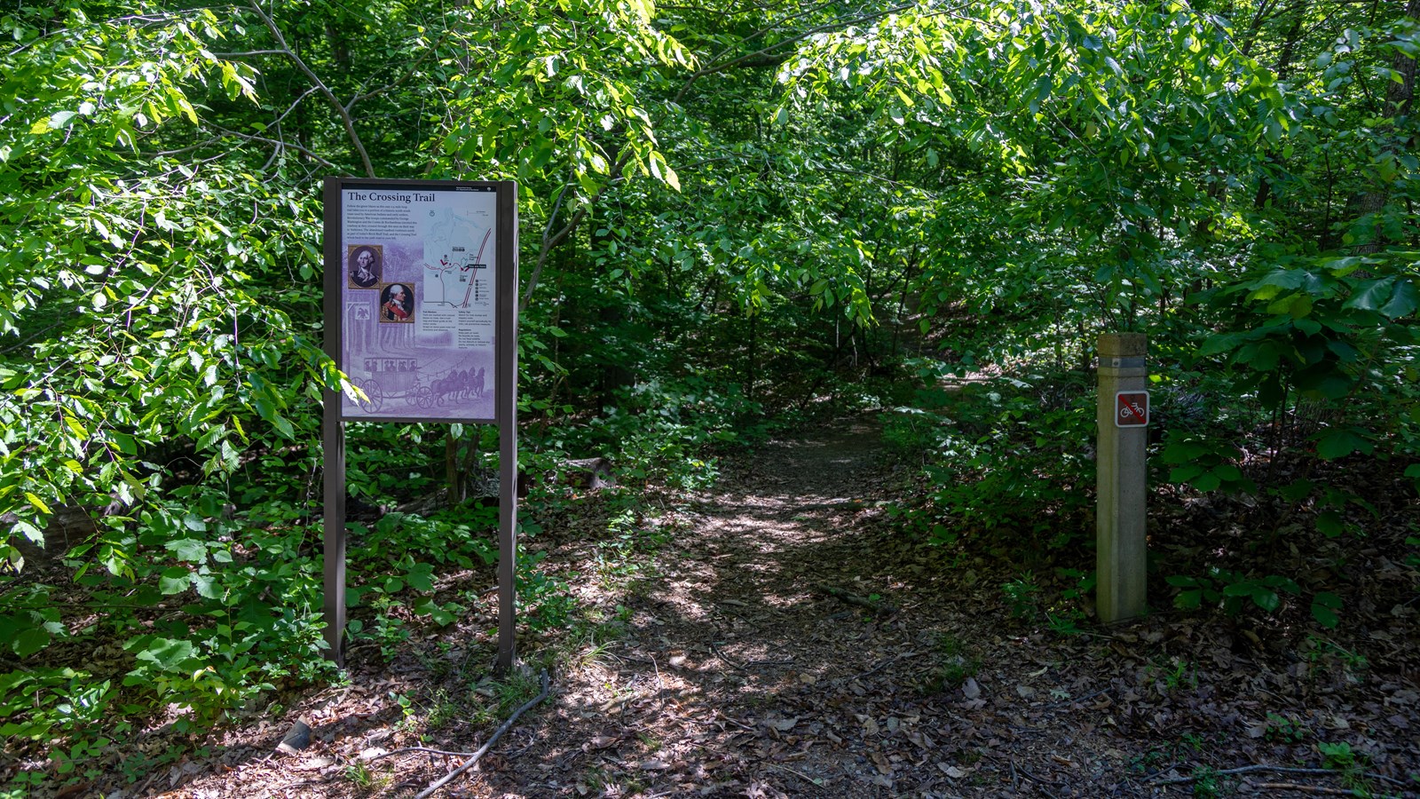 A wayside marks a trail that goes into the woods