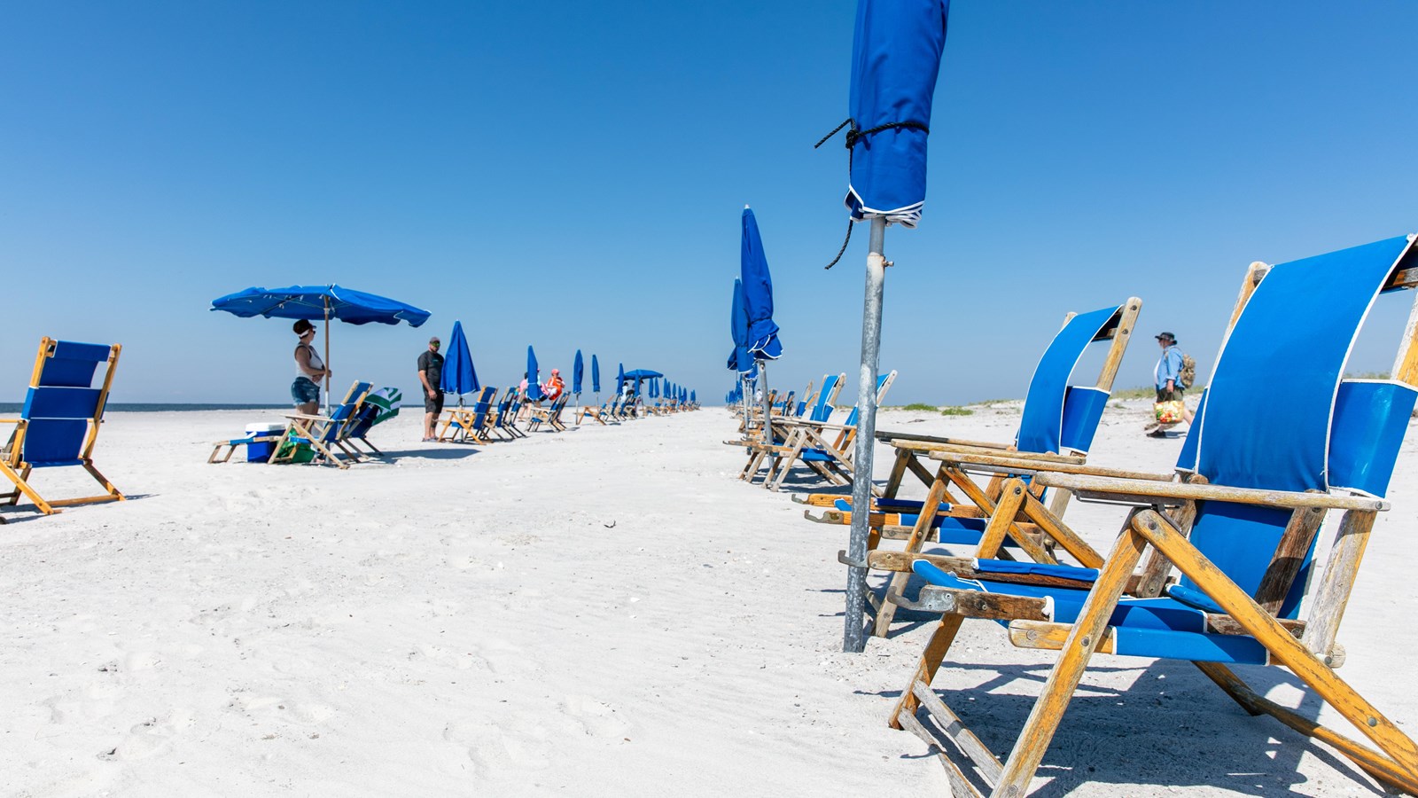 Two rows of wood and blue fabric chairs rest on a white sand beach.