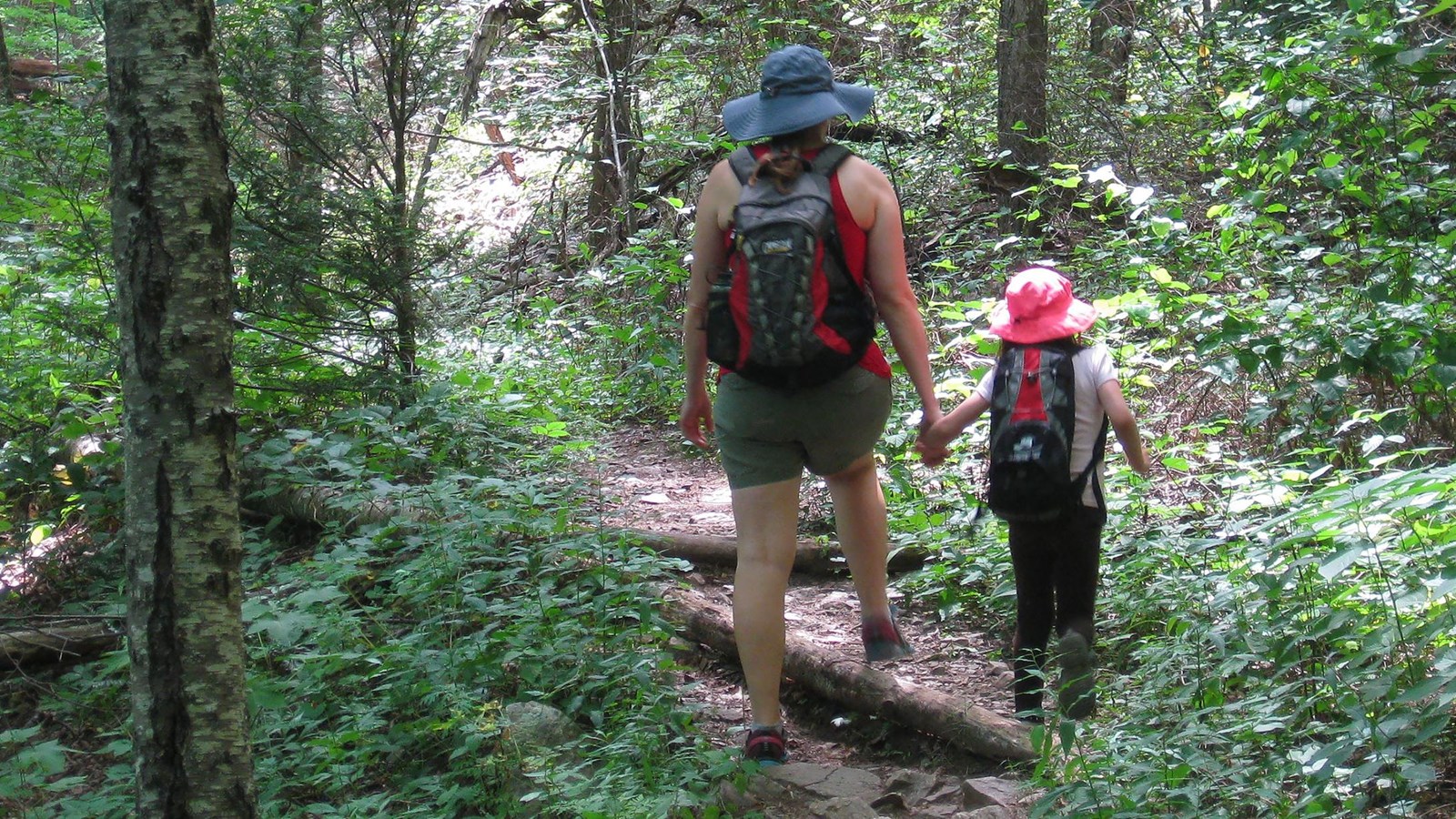 A woman and child wearing backpacks hike on a path through the forest