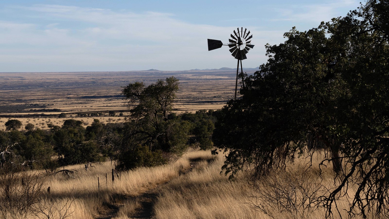 A windmill sits next to a dirt road, large oak trees on both sides of the road and in the distance.