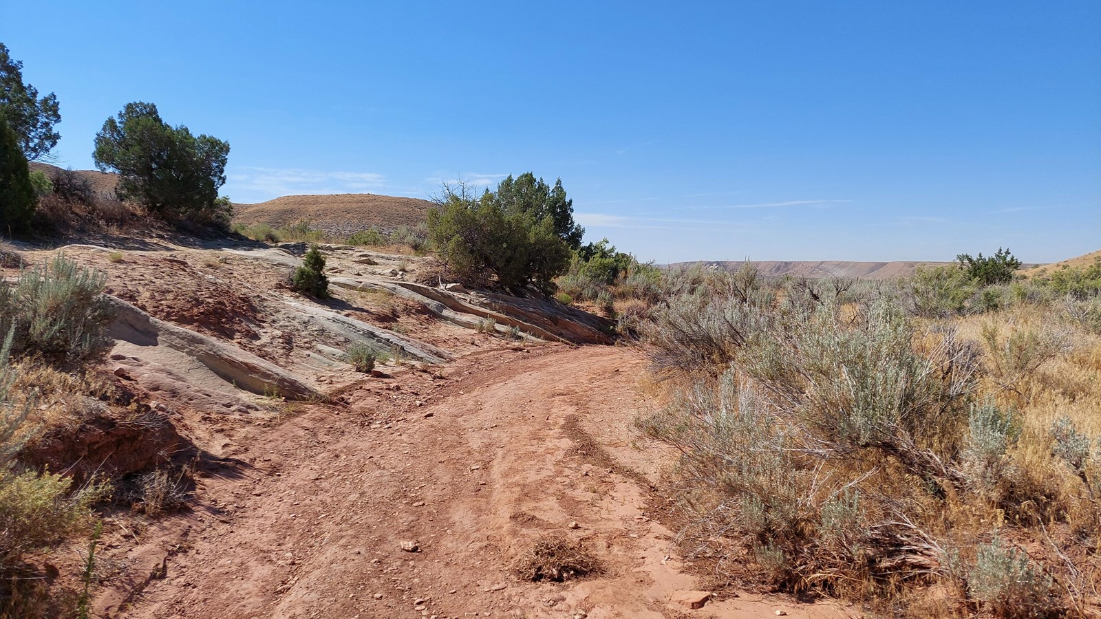A dried up streambed acting as a trail winding through desert shrubs.