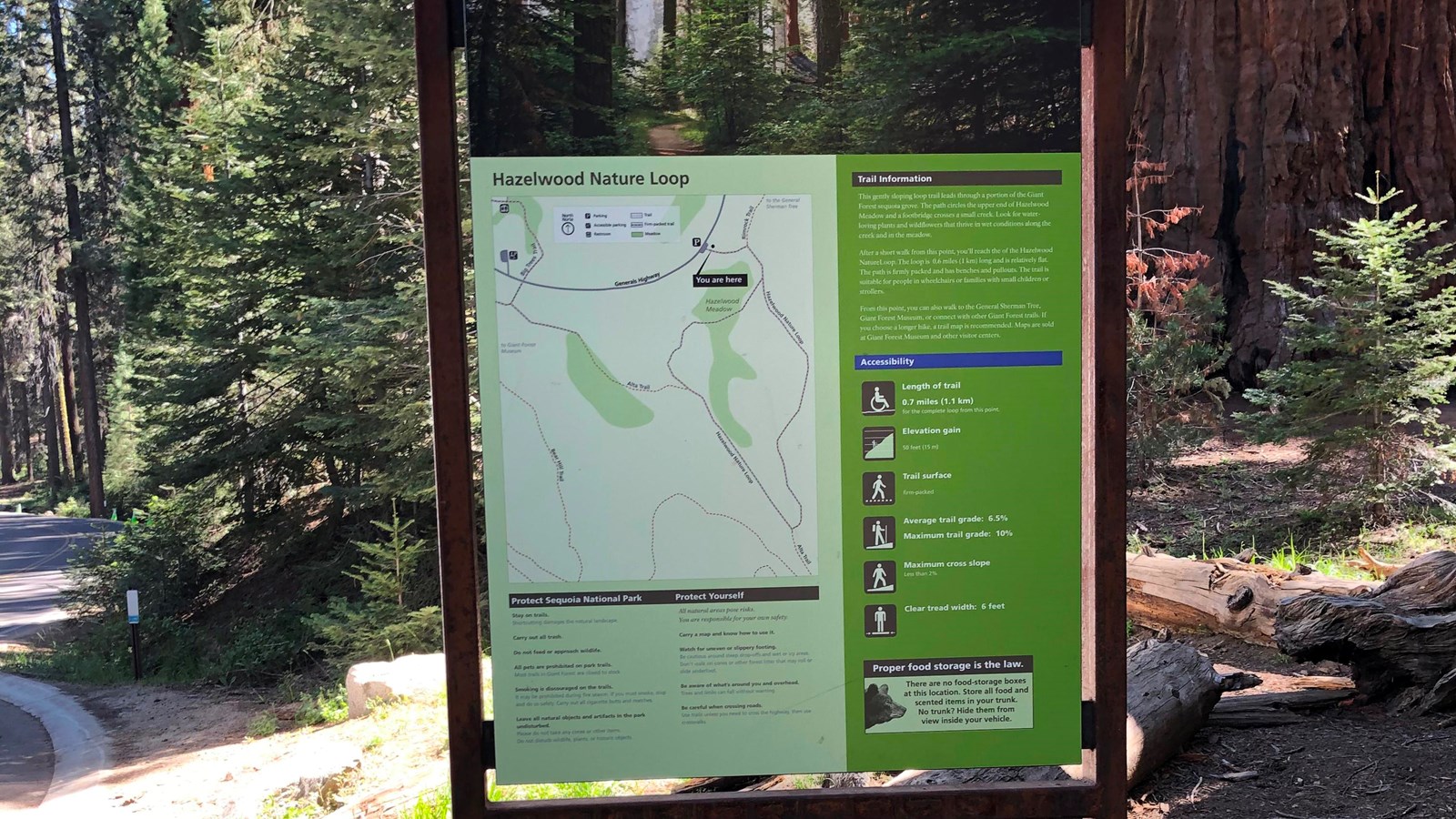 A green trailhead sign displays a map, trees photo, and measurements for trail slope, width, etc and