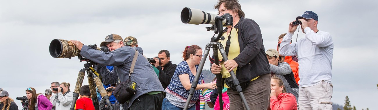 A group of people with long camera lenses on tripods.