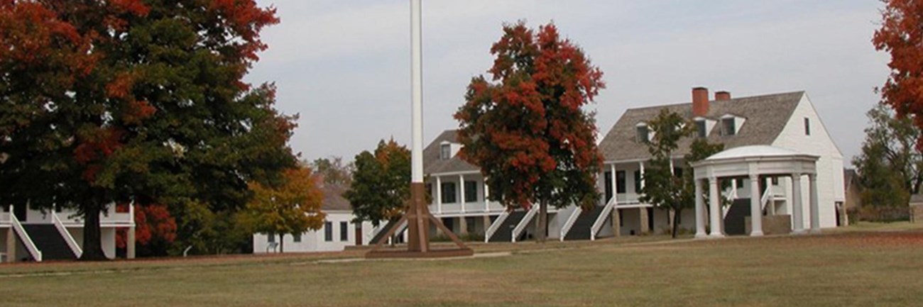 large flag on flagpole with trees with autumn leaves and buildings