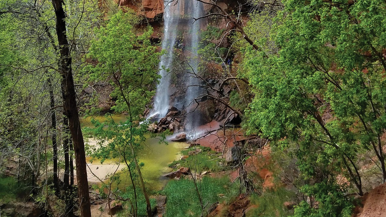 A waterfall flows off of a sandstone ledge into a pool below, surrounded by foliage.