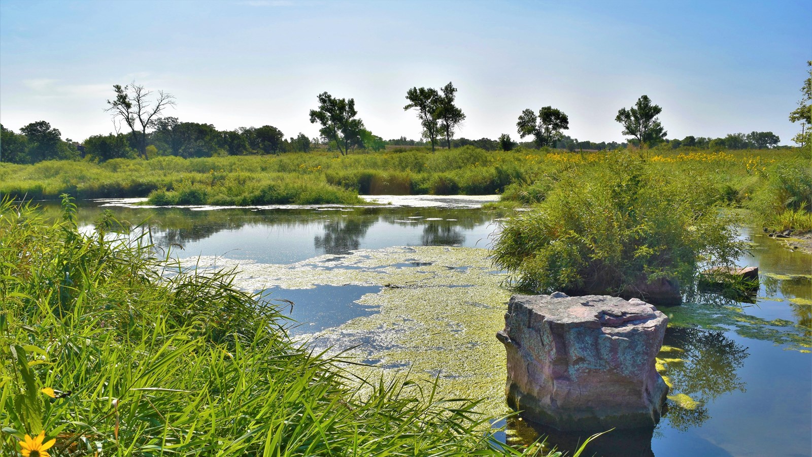 A lake under a blue sky surrounded by prairie grass, trees, and a quartzite stone in the lake. 