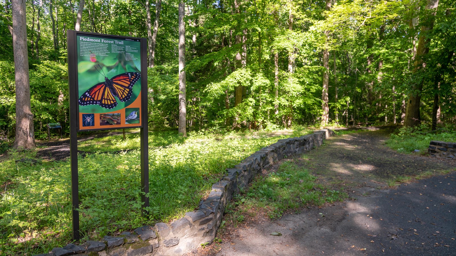 A wayside marks a paved trail that heads into the woods
