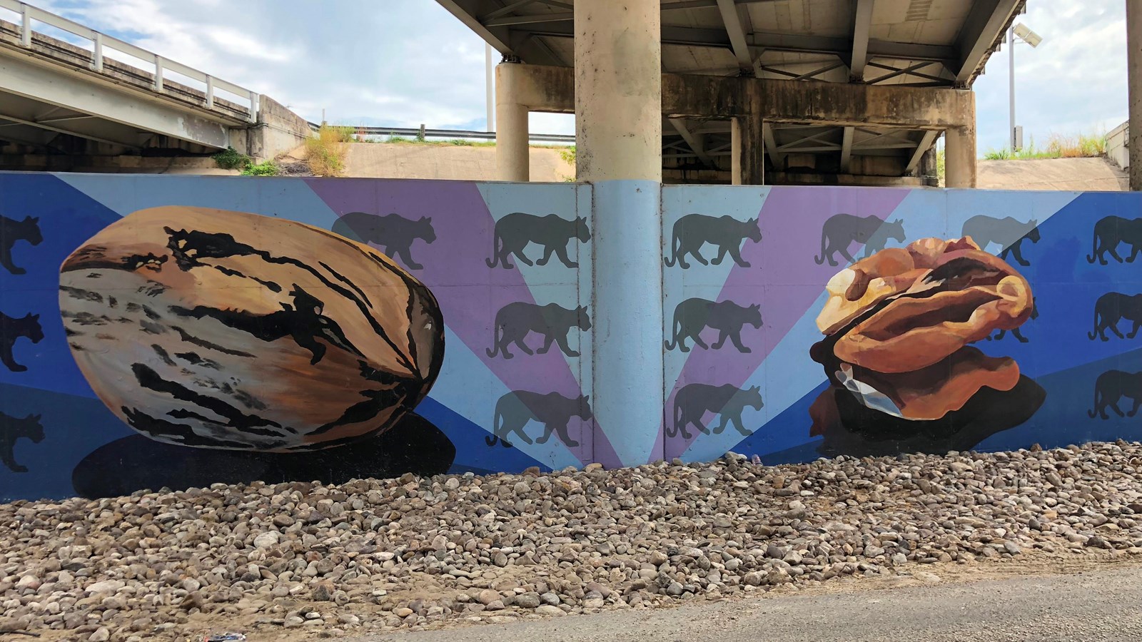 Colorful mural at an underpass depicts Pecans in their shells and wild fauna of South Texas.
