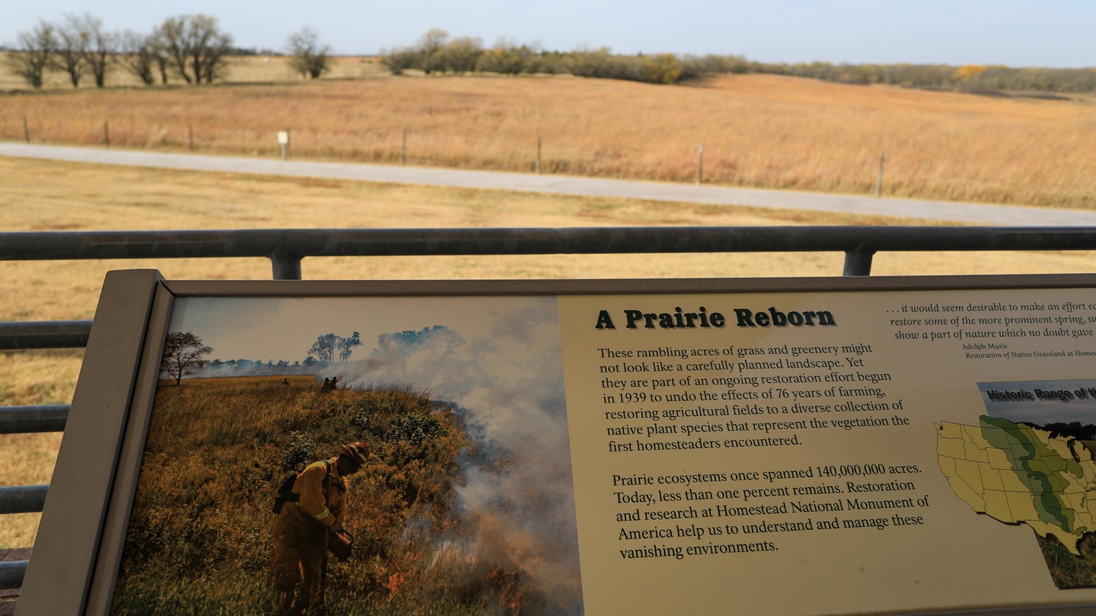 Informational sign stands in front of restored tallgrass prairie and an Osage orange hedgerow.