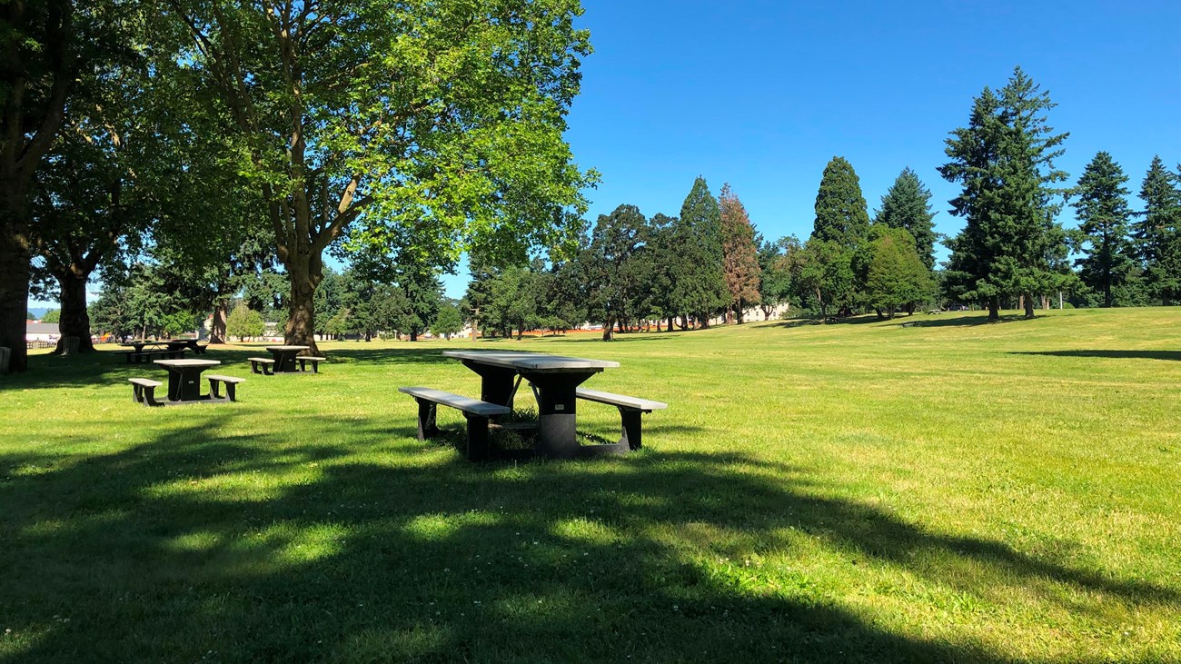 A picnic bench in an open grassy field on a sunny day.