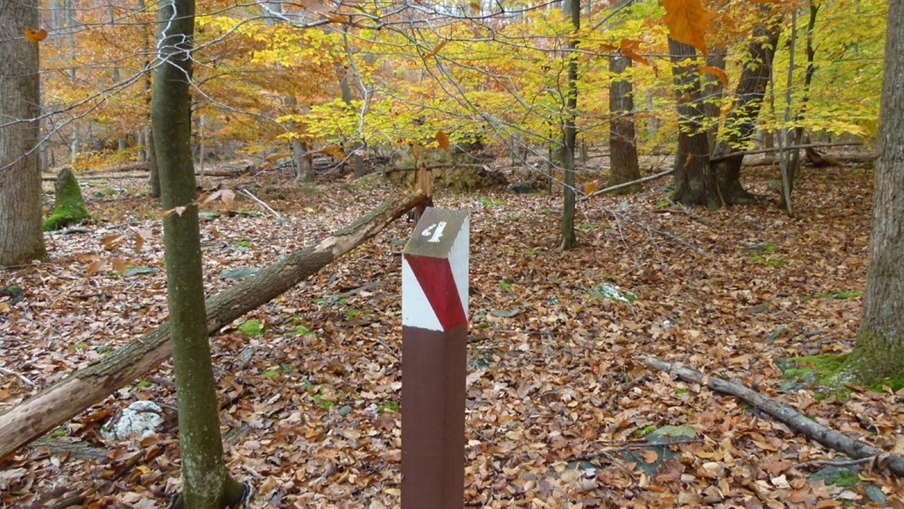 A brown wooden post with red and white stripe markings with the number 4 on top.