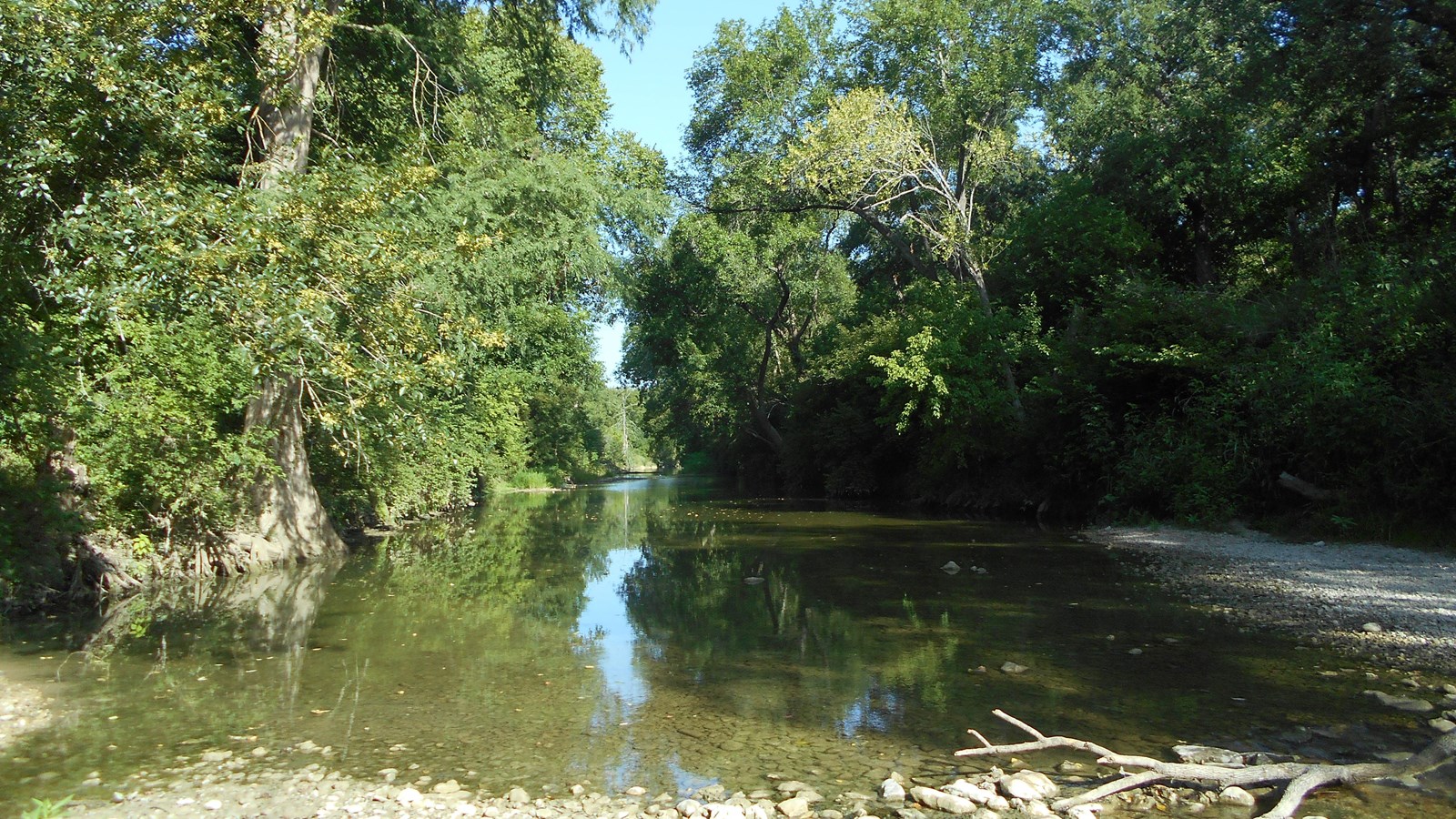 Green river between two vegetated banks.
