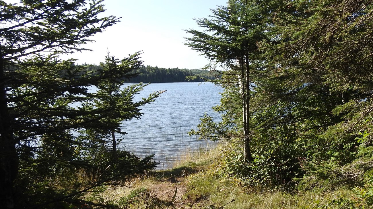 A view of a lake and shoreline framed by trees. 