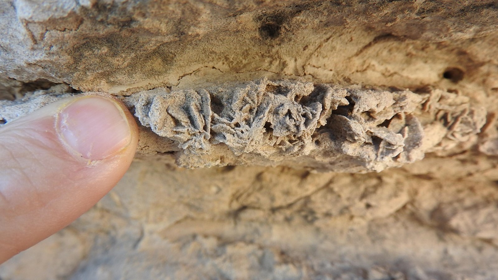 A finger points to crystal fins of calcite.