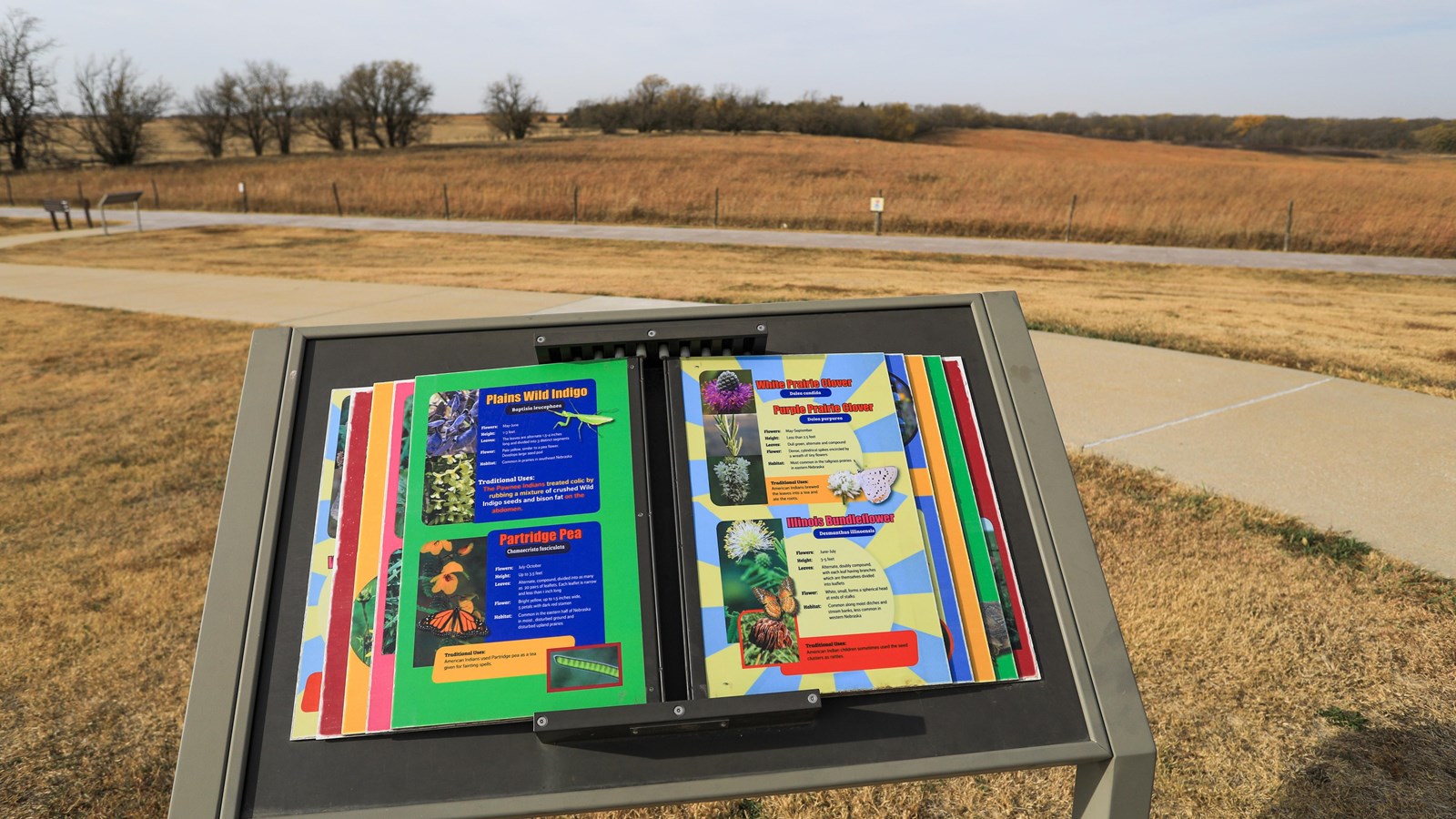 A wayside stands in front of open prairie with Osage orange hedgerow in the background.