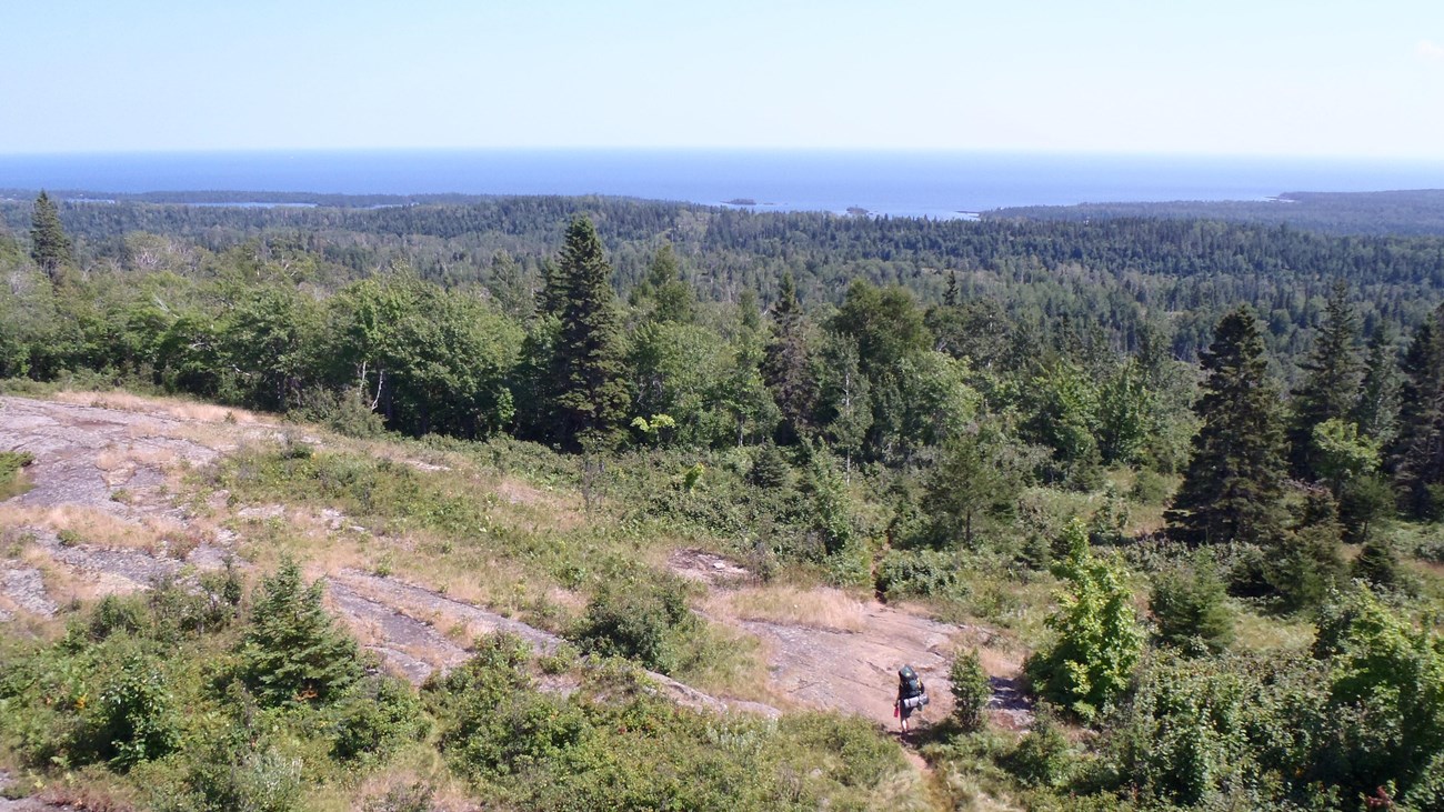 Two people with backpacks walk down a trail on a ridge surrounded by forest. 