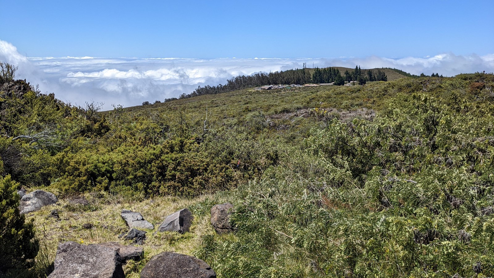 greenery looking downhill towards clouds and blue sky