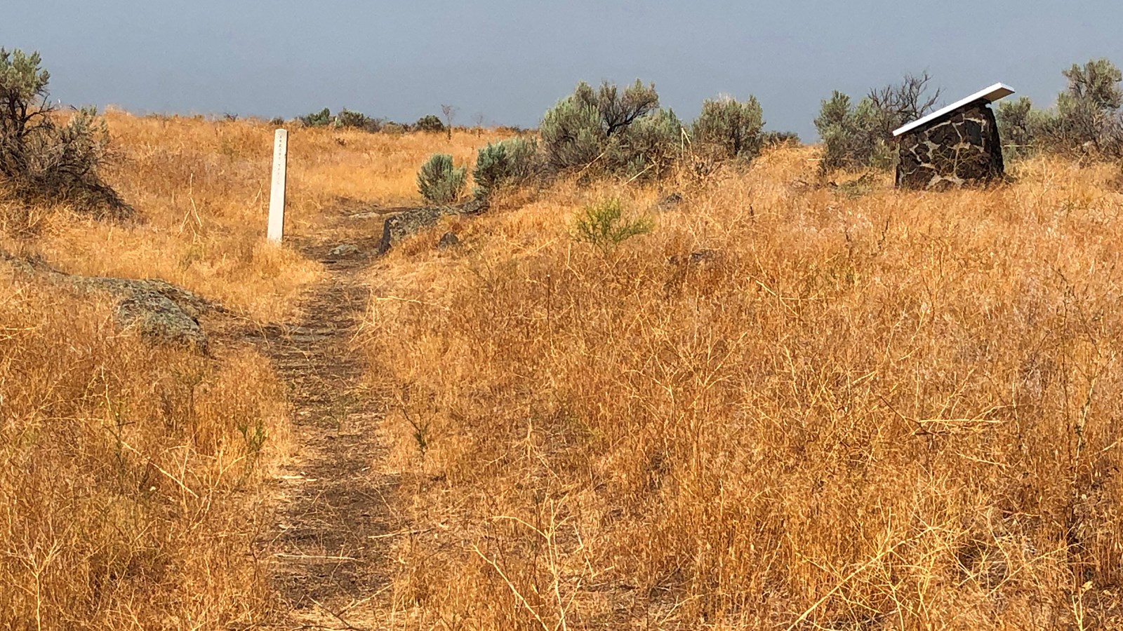 A path is clearly cut into the ground through a section of yellow grass.