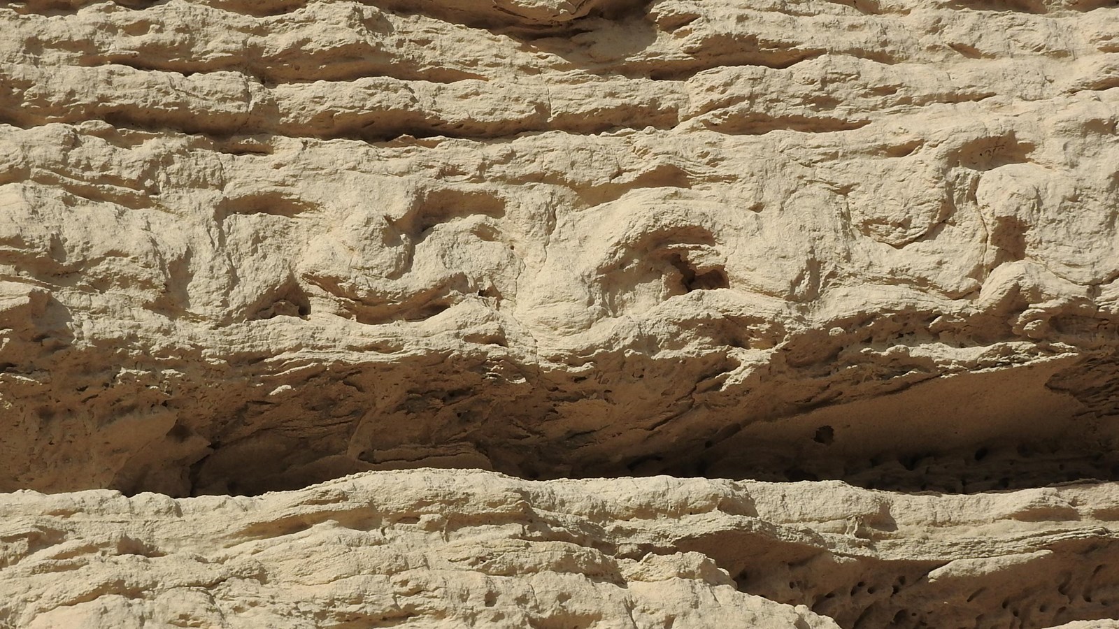 Layers of sandstone are seen, some of the layers show concave-up deformations.