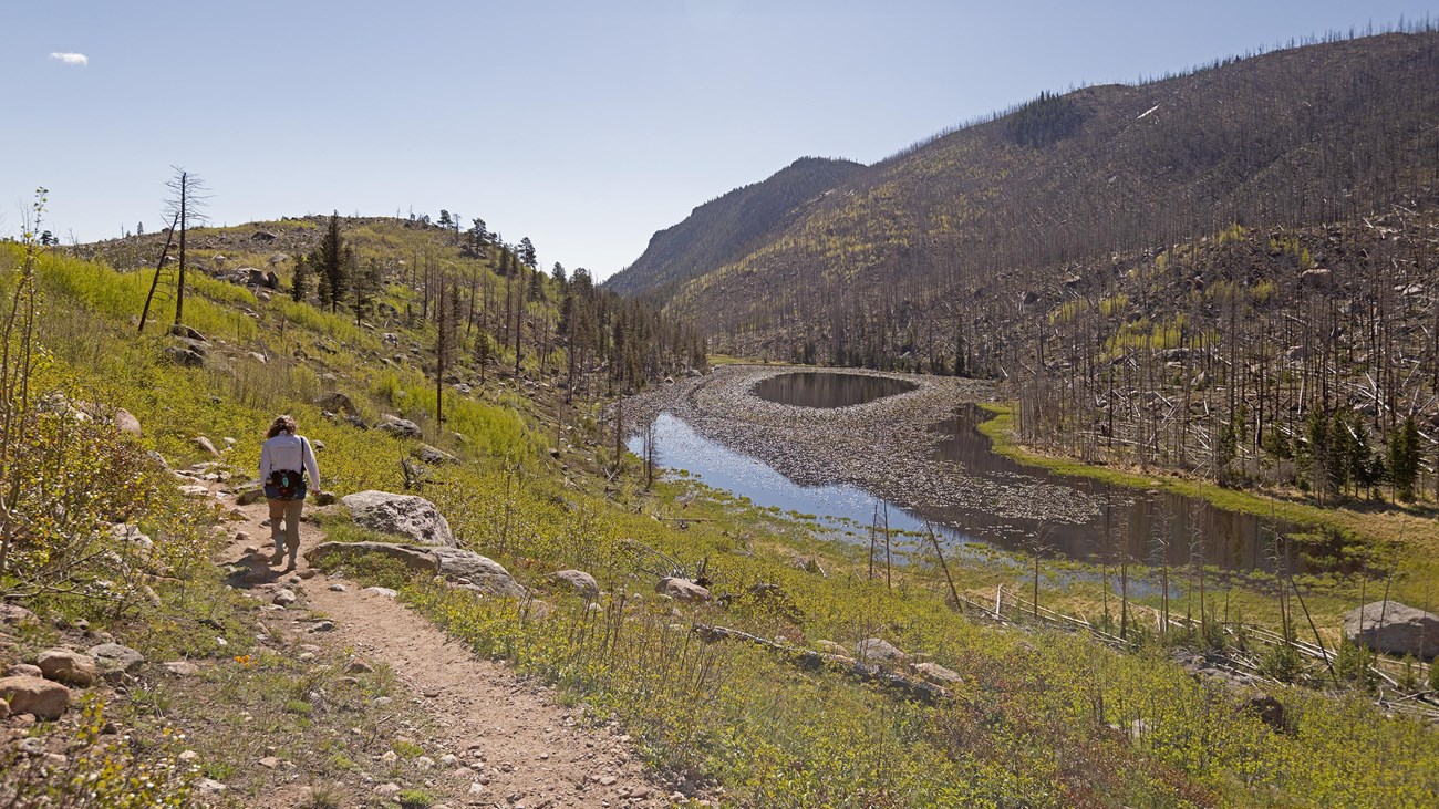 A person is hiking on the Cub Lake Trail on a sunny day