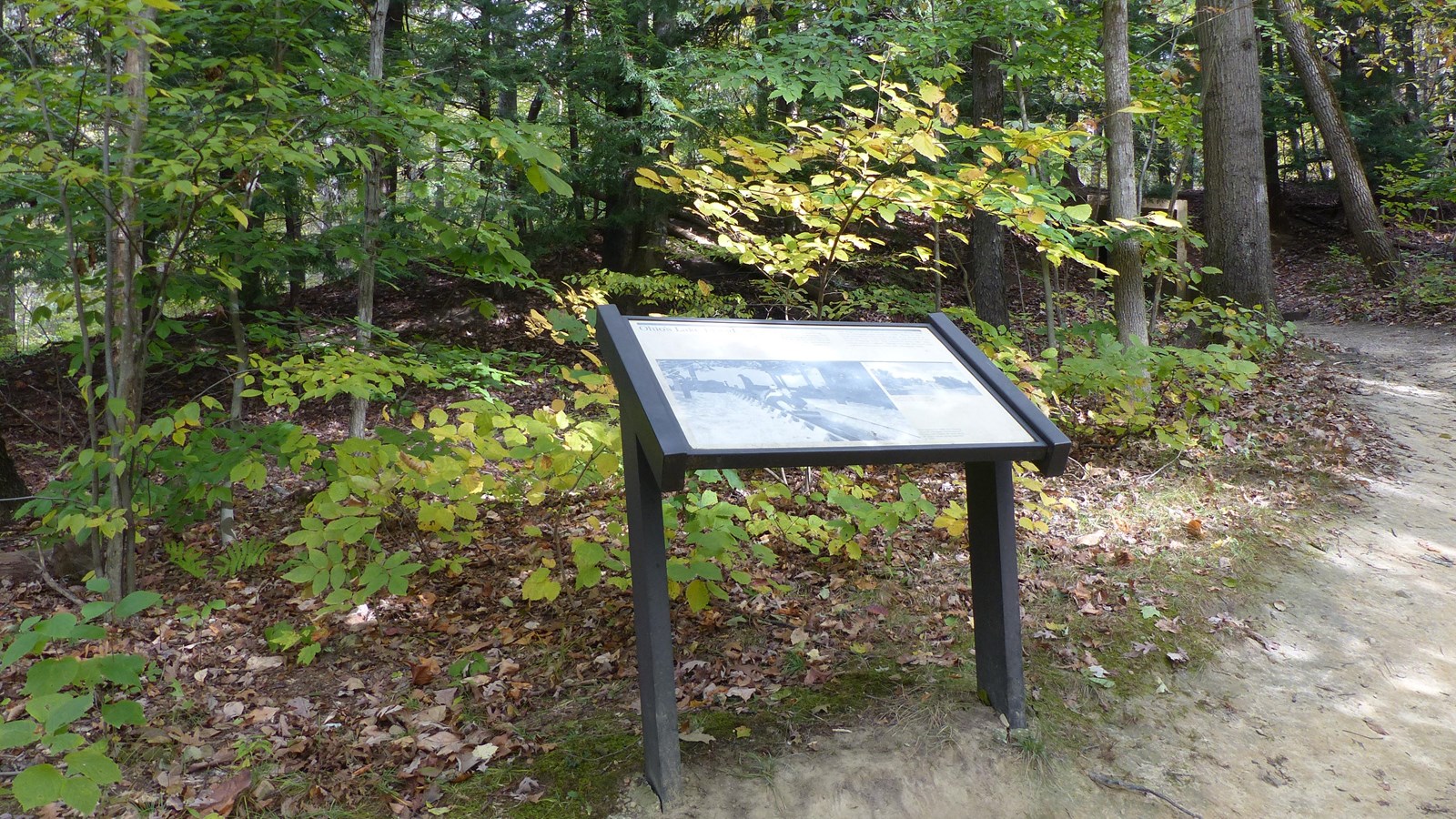 Exhibit stands beside a dirt trail, right, leading into a tunnel under a tree-covered slope.