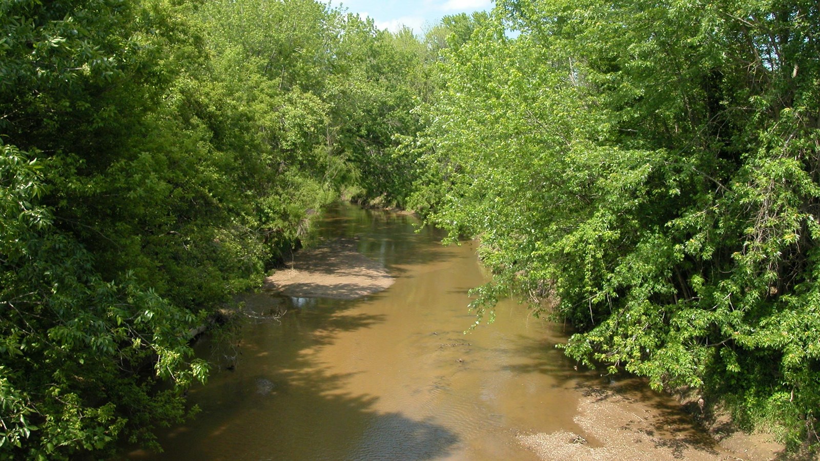 a shallow, green-brown creek flows lazily, growing wider as it approaches the viewer.