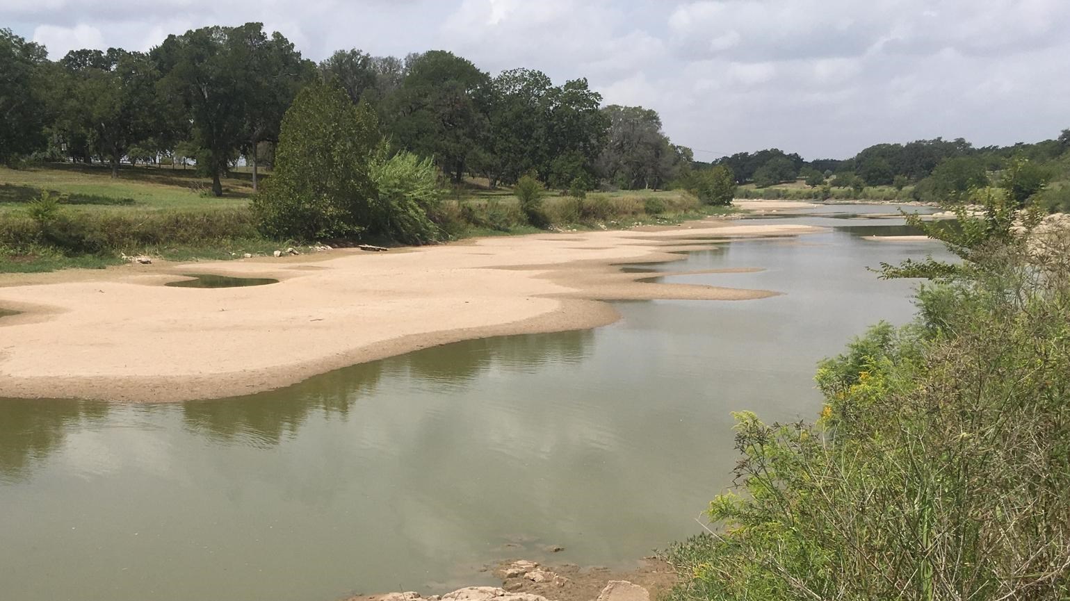 Green brush and live oak trees border a river with so little water that sandbars are exposed.
