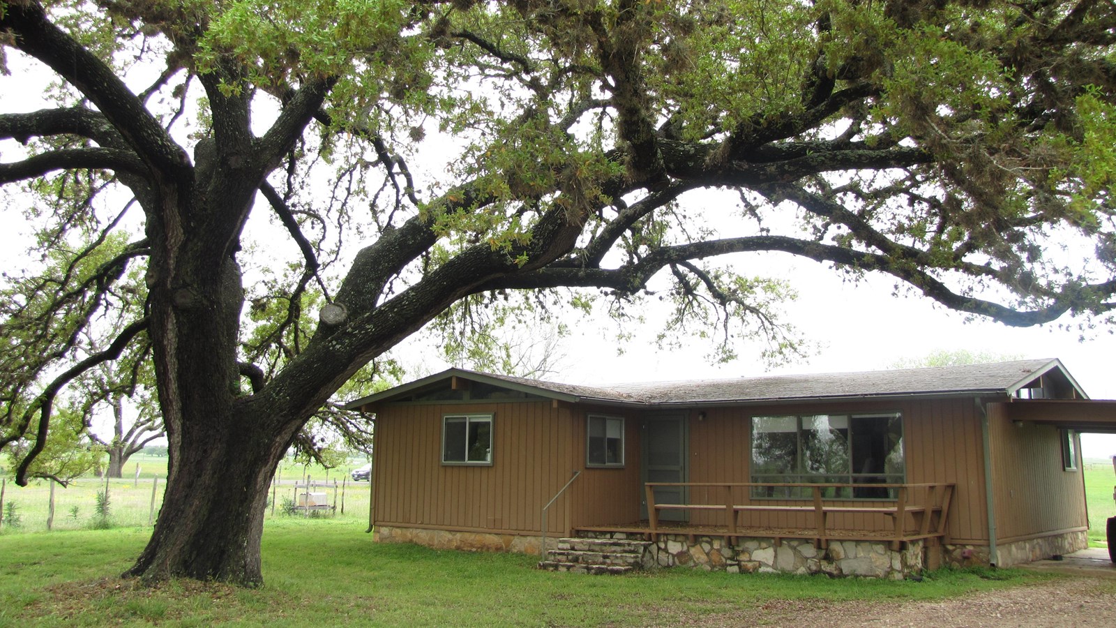 A tan guest house with large windows and a small entry deck sits under a huge live oak tree.