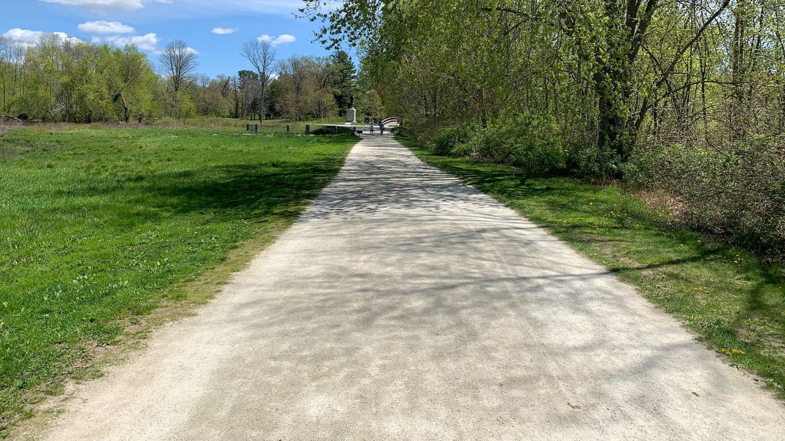 A road of light-colored sand runs through a green landscape, clear on the left, wooded on the right.
