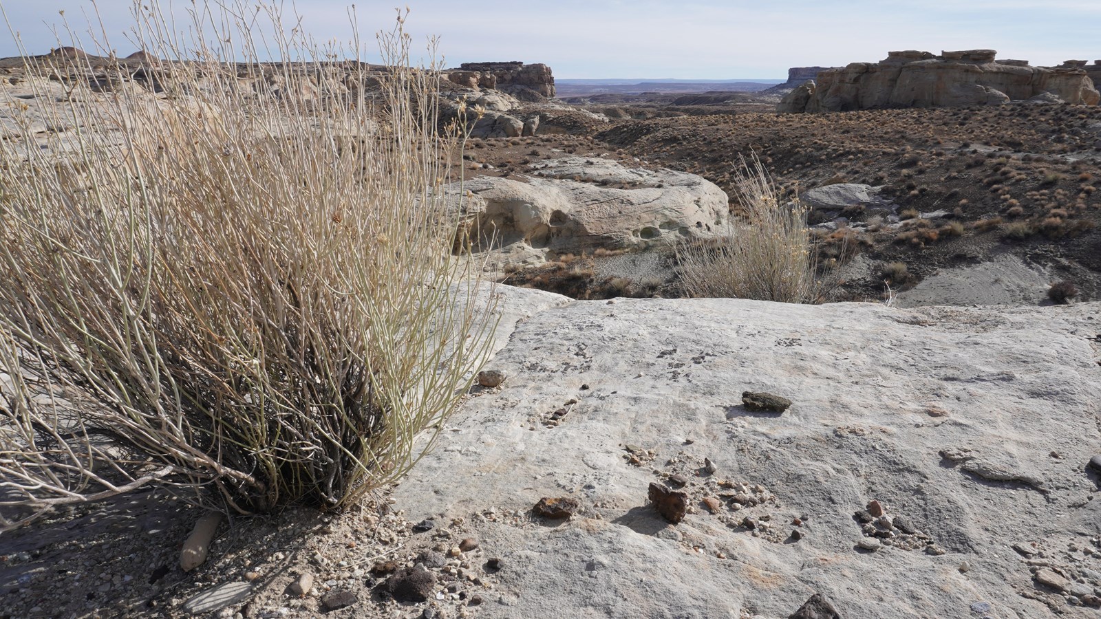 Light sandstone and sparse vegetation