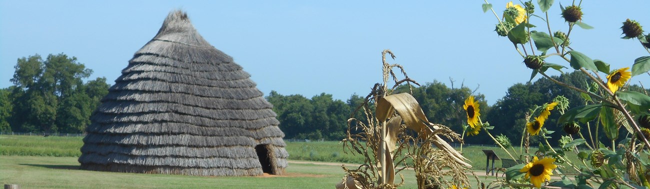 A thatched, bee-hived shaped hut.