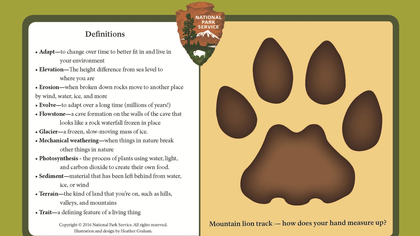 A mountain lion footprint and a glossary of words