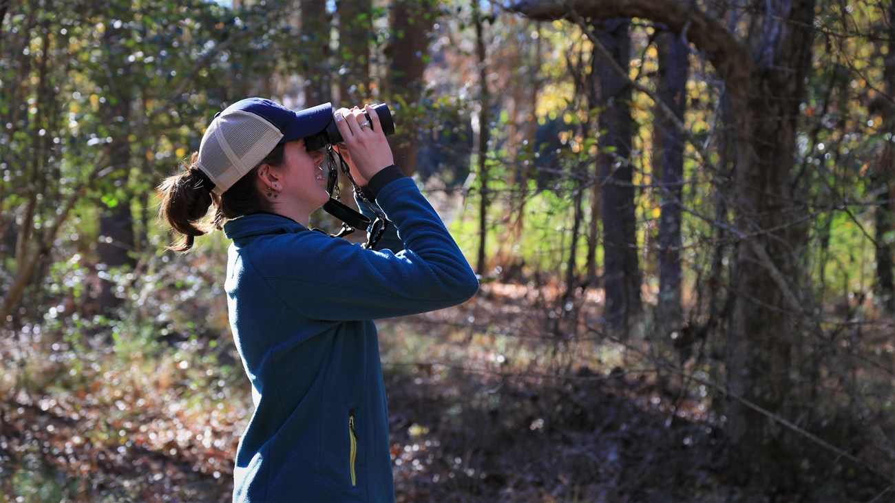 woman in the woods looking upward with binoculars