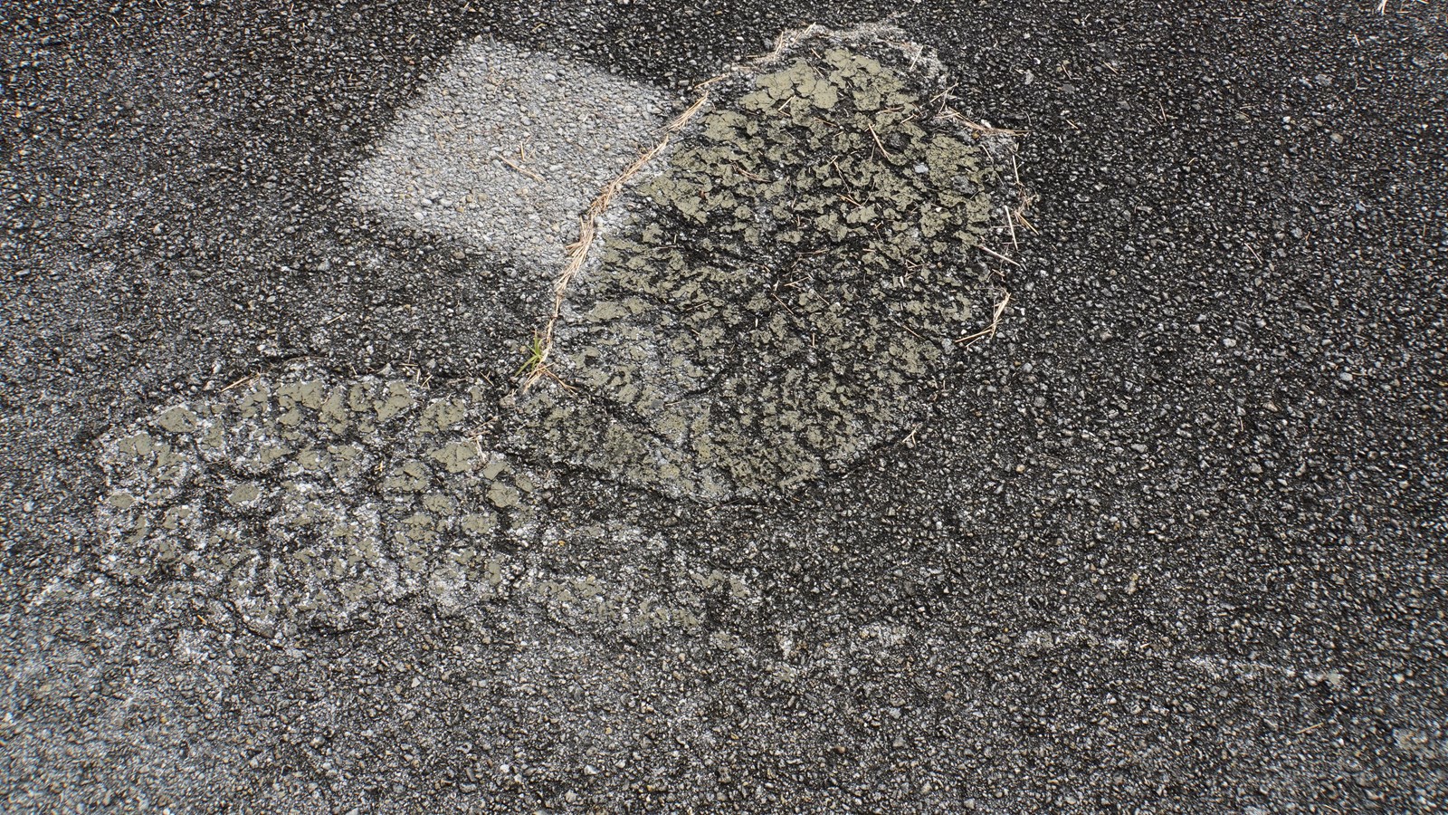 Two foot long yellow circles painted on the pavement have been weathered by rain and sun.