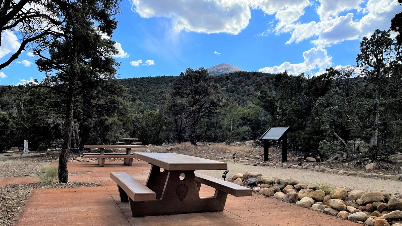 Concrete picnic area surrounded by juniper trees.