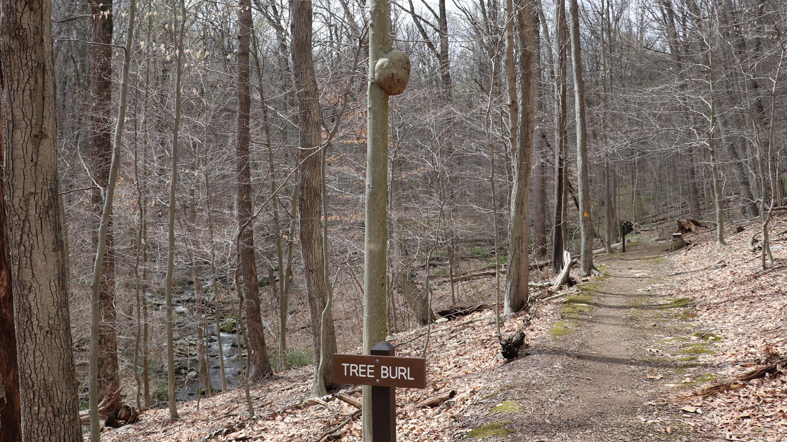 A brown wooden sign reading