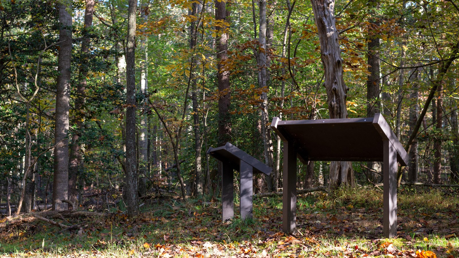 Two low-profile waysides in the woods during fall.