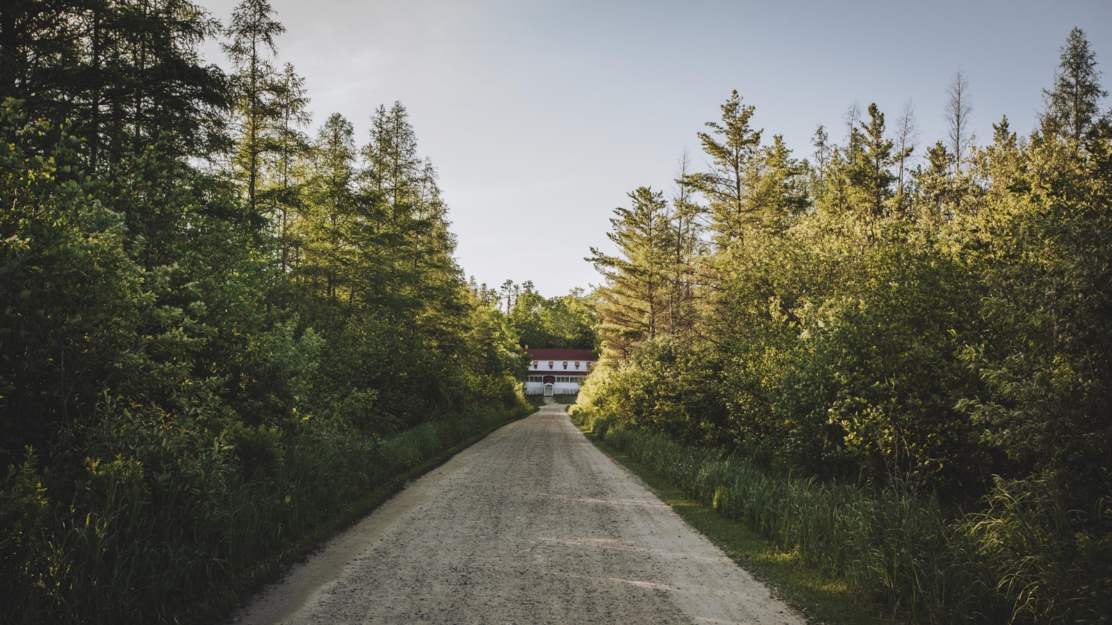 A gravel path leads through a thick forest of trees to a white hotel with a red roof.