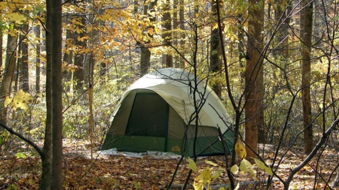 A tan and green tent nestled amongst a grove of fall colored trees.