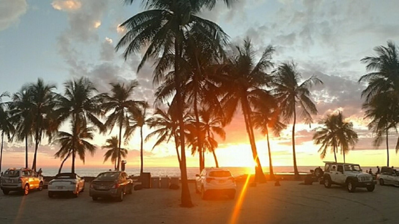 A line of silhouetted coconut trees and cars with colorful sunset over the ocean beyond. 