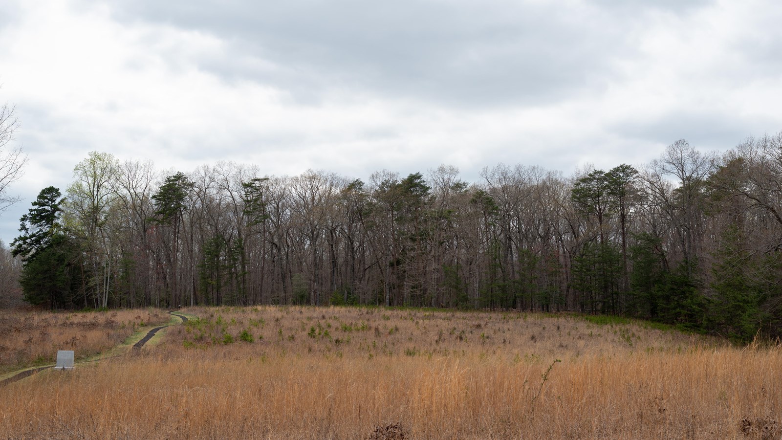 Rolling hills with golden winter grasses and woods in the distance with a trail crossing the field.