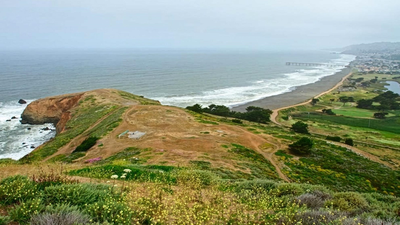 Waves crash on the beach as we gaze at it from a hilltop covered in flowers